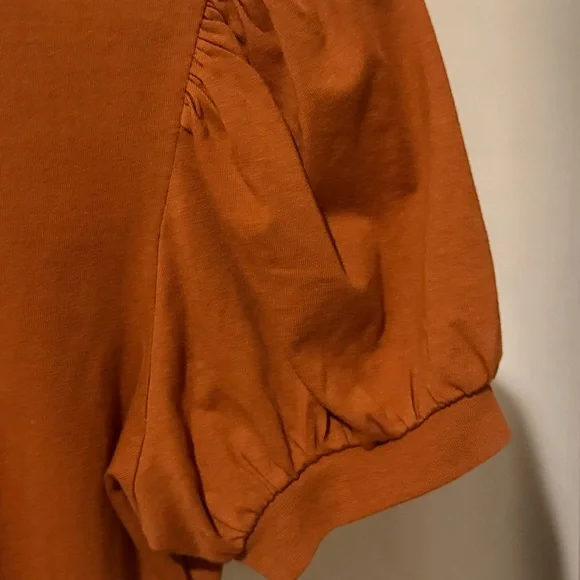 PAIGE MATCHA TEE IN TERRACOTTA - Short Sleeve Puff Top - Warm Brown Sz:XS - Picture 6 of 11